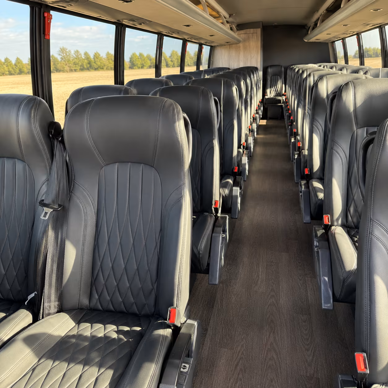 berkeley make prom night memorable with berkeley prom bus rentals
