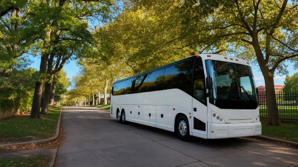 daly city summer camp transportation and bus rentals